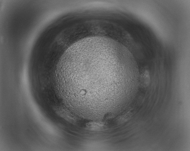 X0000073450765200608181238