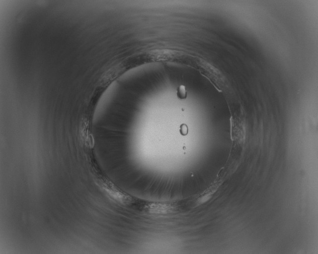 X0000073450766200608181238