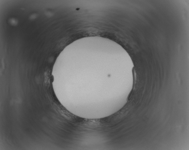 X0000073450768200608181238