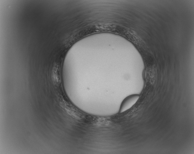 X0000073450770200608181238