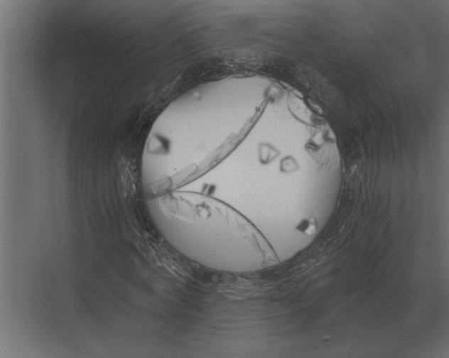 X0000073450772200608181238