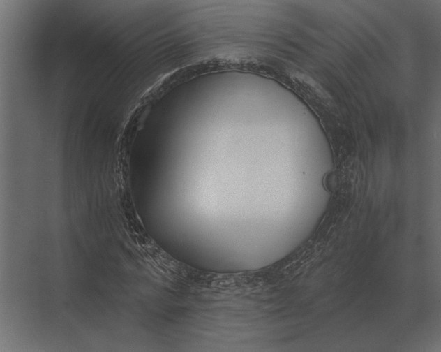 X0000073450776200608181238