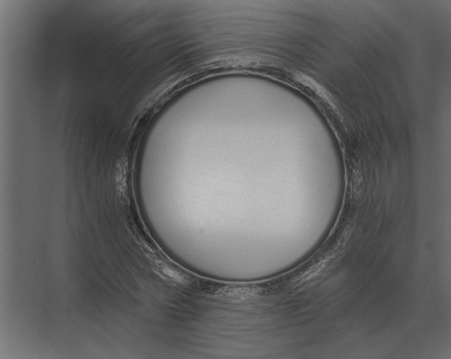 X0000073450778200608181238