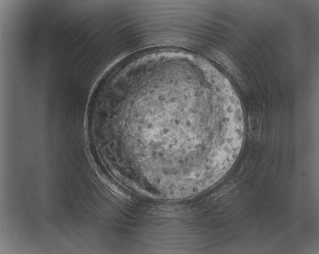 X0000073450780200608181237