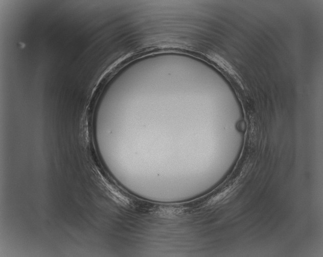 X0000073450782200608181237