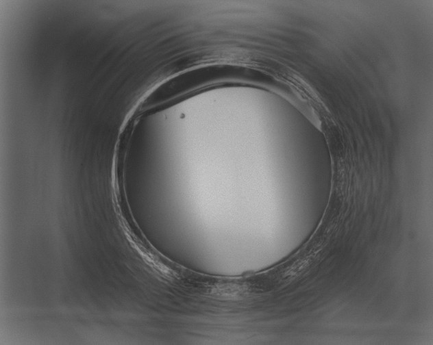 X0000073450788200608181237