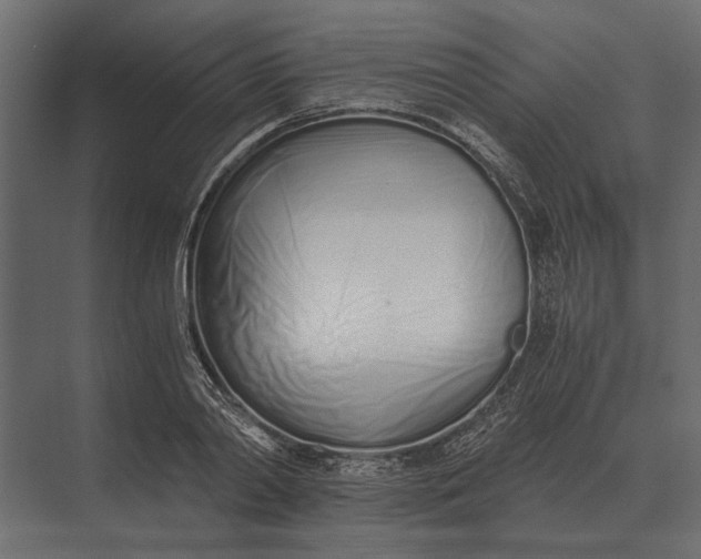 X0000073450790200608181237