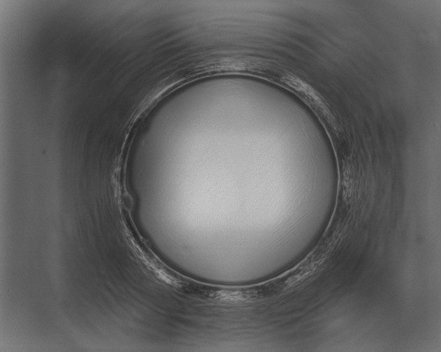 X0000073450794200608181237