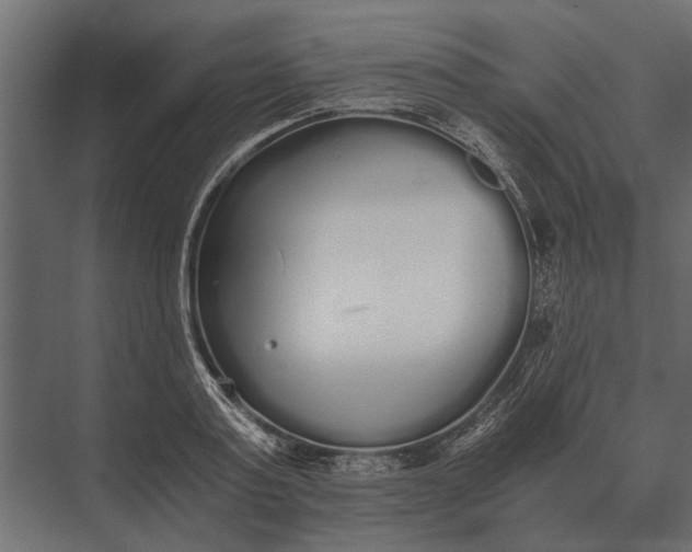 X0000073450795200608181237