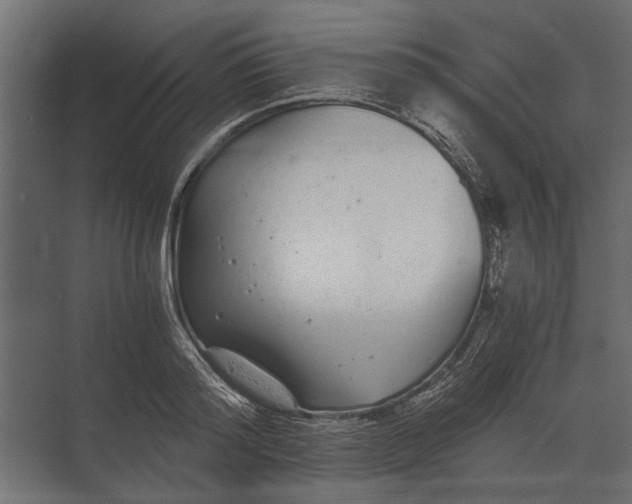 X0000073450796200608181237