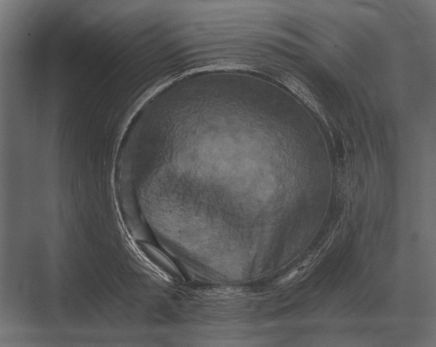 X0000073450797200608181237