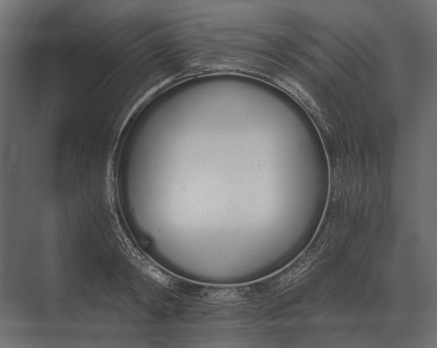 X0000073450798200608181237