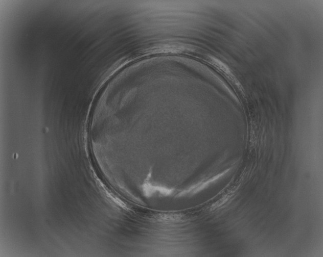 X0000073450802200608181237