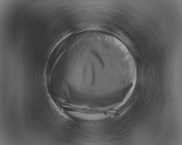 X0000073450806200608181237