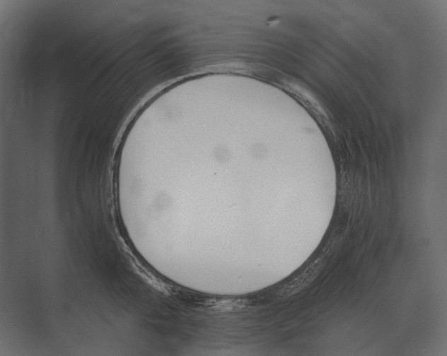 X0000073450808200608181237