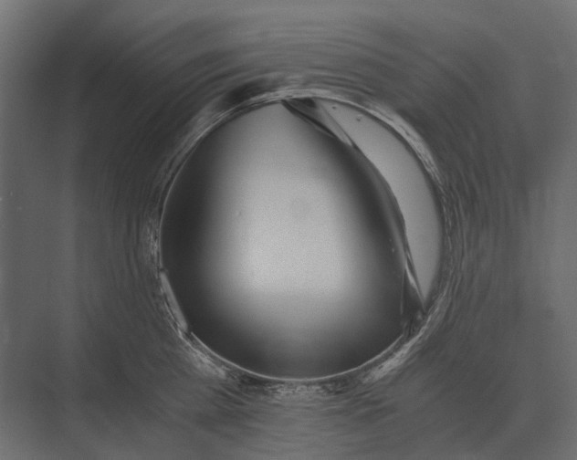 X0000073450809200608181237