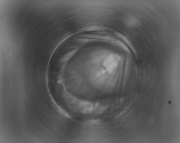 X0000073450810200608181237