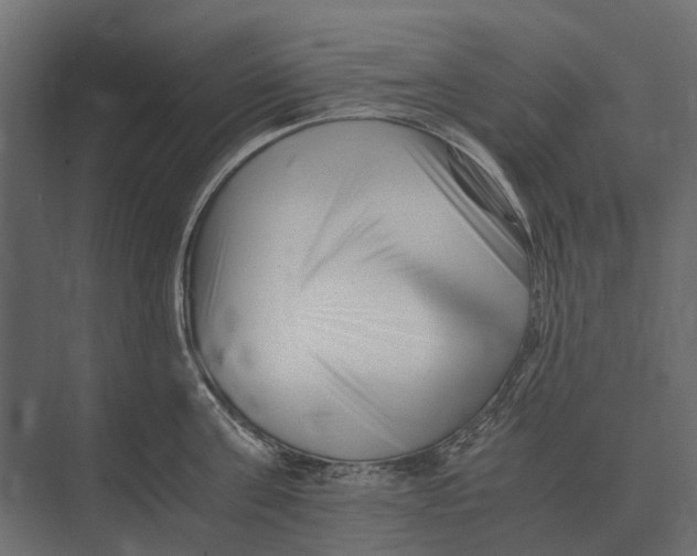 X0000073450811200608181237