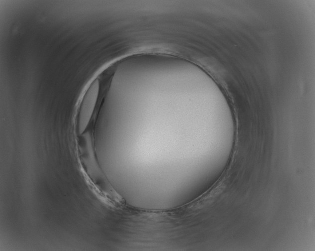 X0000073450816200608181237