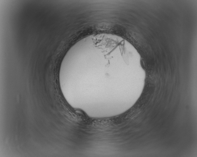 X0000073450817200608181236