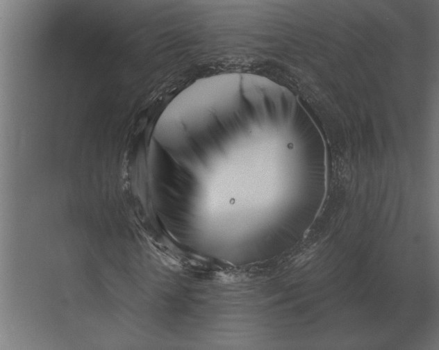 X0000073450818200608181236