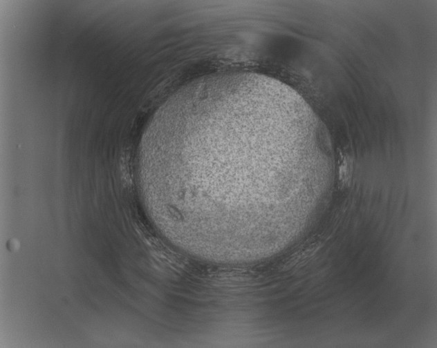 X0000073450819200608181236