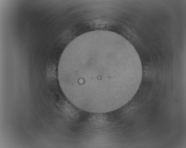 X0000073450820200608181236