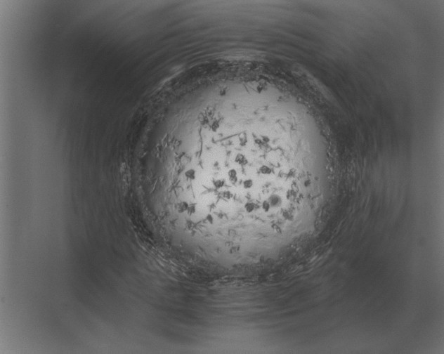 X0000073450821200608181236