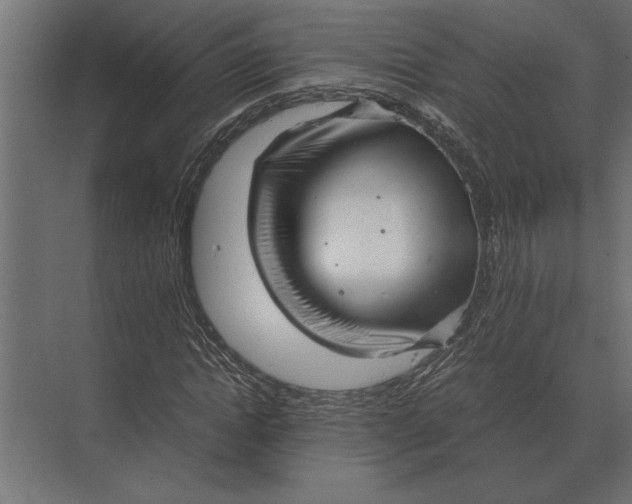 X0000073450822200608181236