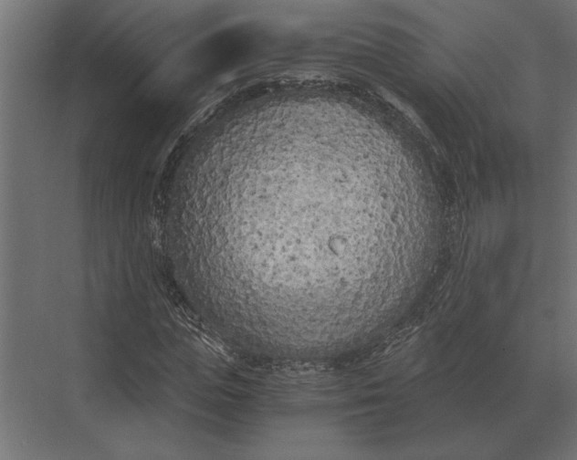 X0000073450823200608181236