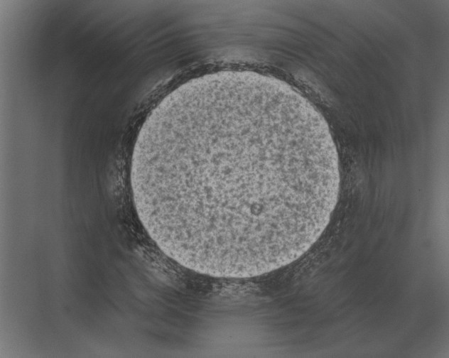 X0000073450824200608181236