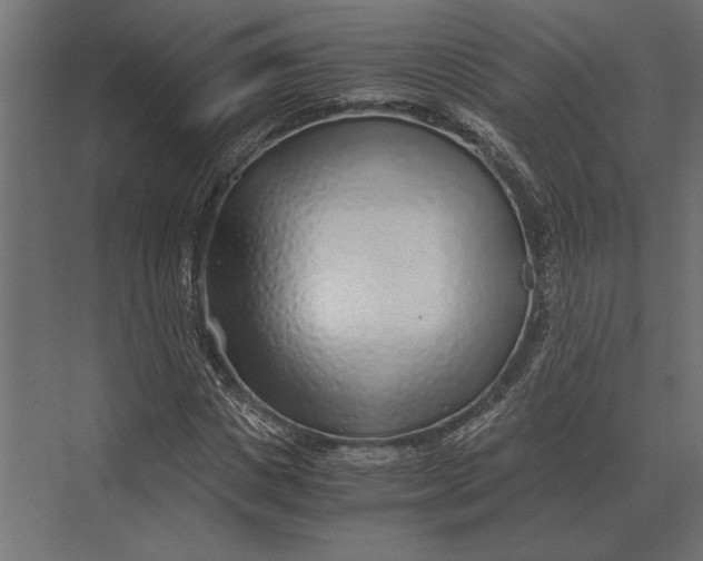 X0000073450825200608181236