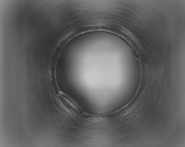 X0000073450826200608181236