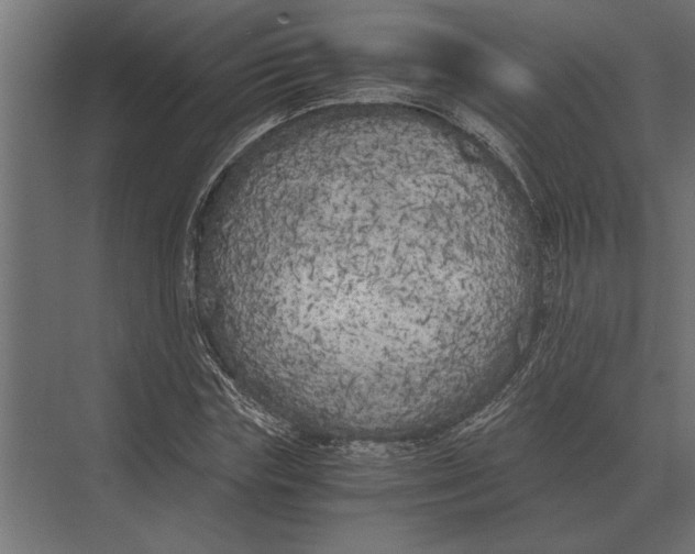 X0000073450827200608181236