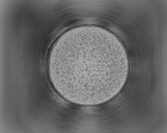 X0000073450828200608181236