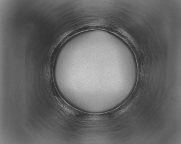 X0000073450829200608181236