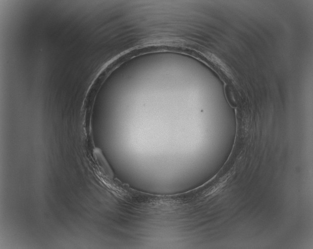 X0000073450830200608181236