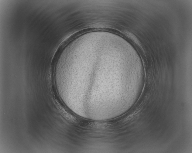 X0000073450831200608181236