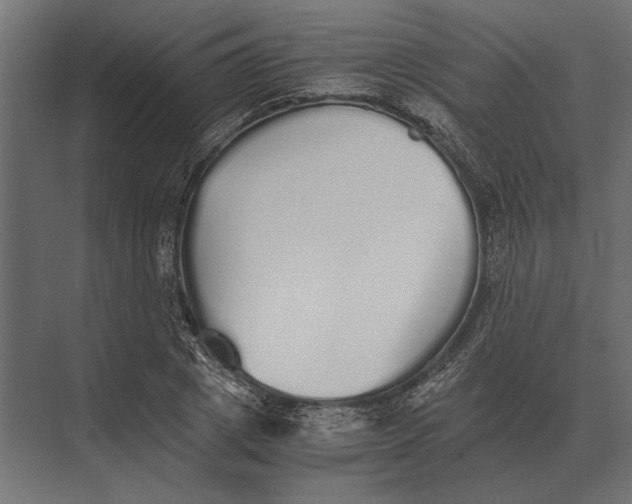 X0000073450833200608181236