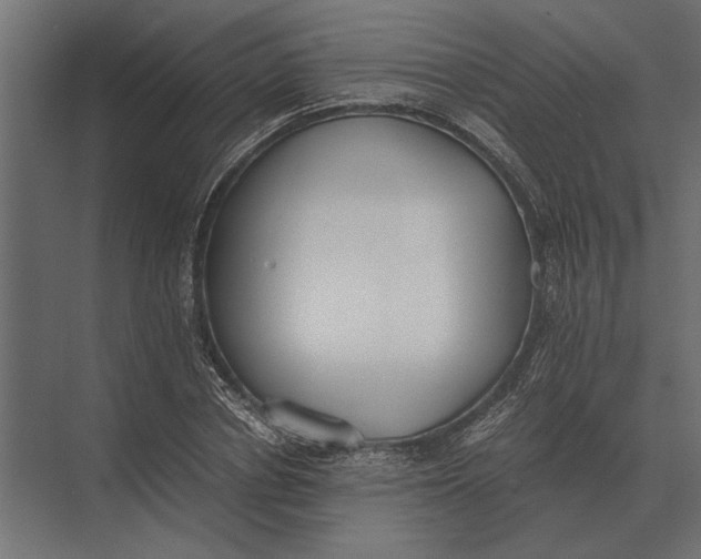 X0000073450834200608181236