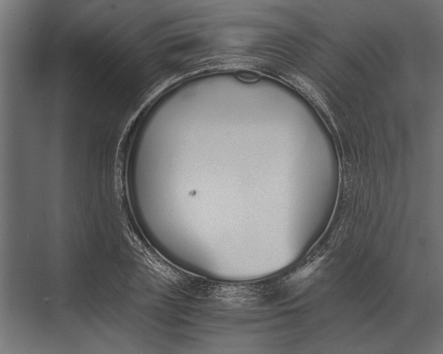 X0000073450835200608181236