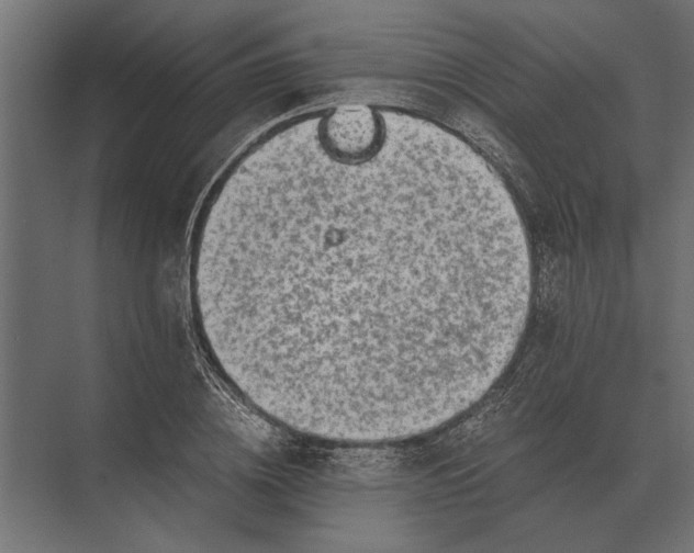 X0000073450836200608181236