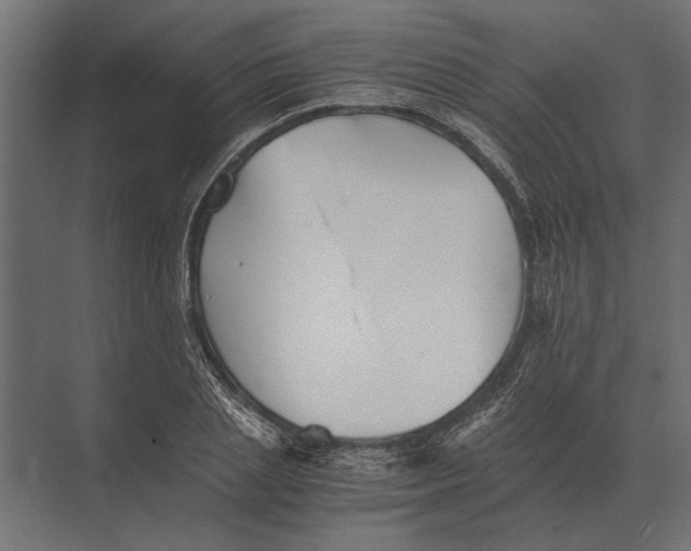 X0000073450837200608181236