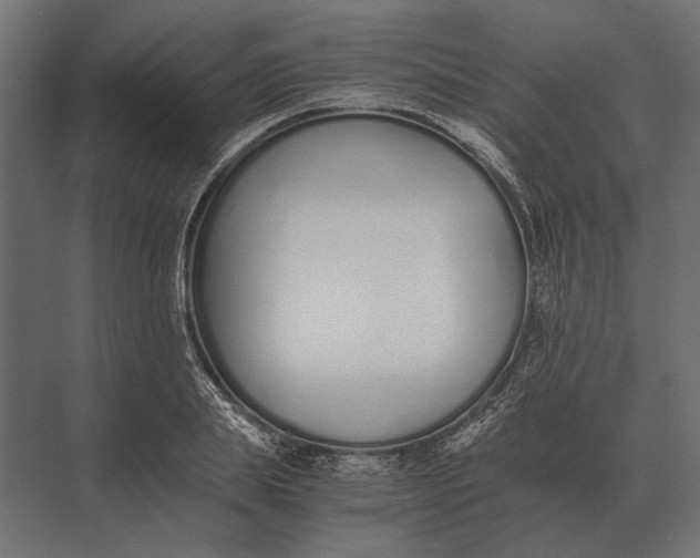 X0000073450839200608181236