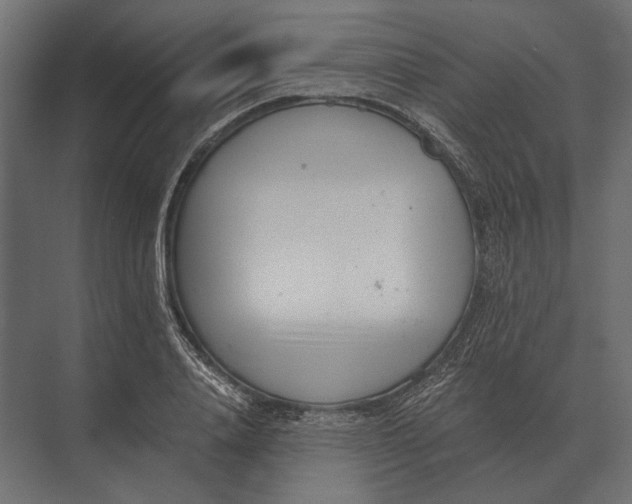 X0000073450840200608181236