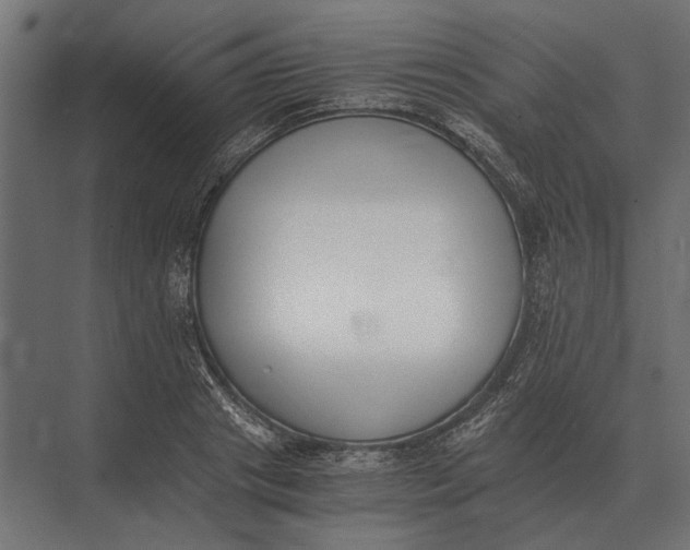 X0000073450841200608181236