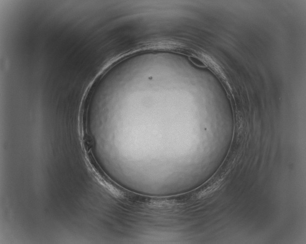 X0000073450843200608181236