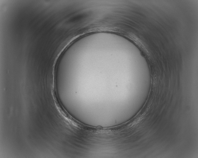 X0000073450844200608181237