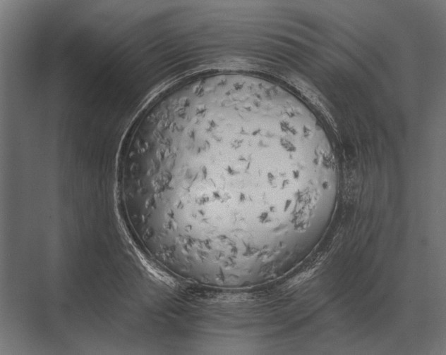 X0000073450845200608181237