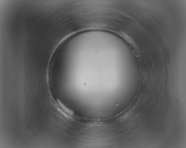 X0000073450846200608181237